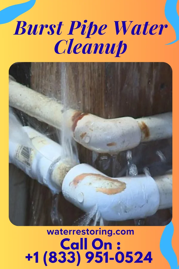 Burst Pipe Water Cleanup in Stony Prairie, OH