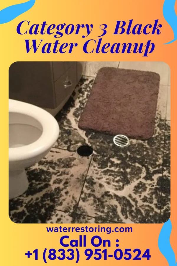 Category 3 Black Water Cleanup in Stony Prairie, OH