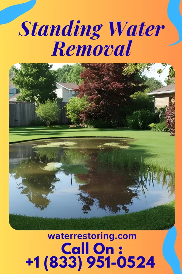 Standing Water Removal in Stony Prairie, OH